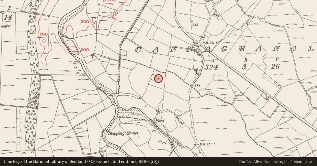 Ordnance Survey six-inch map, 2nd edition (1888–1915) covering the location of Enclosure, Buncrowey, County Sligo, with a pin at the register's coordinates