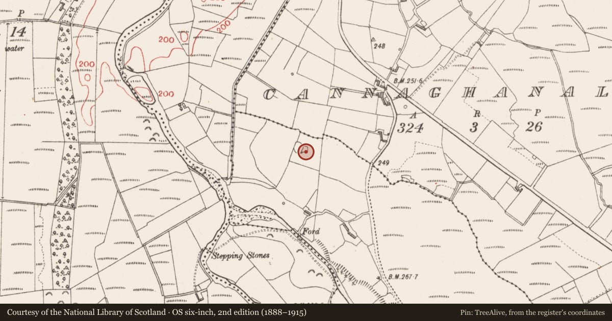 Ordnance Survey six-inch map, 2nd edition (1888–1915) covering the location of Hut site, Buncrowey, County Sligo, with a pin at the register's coordinates