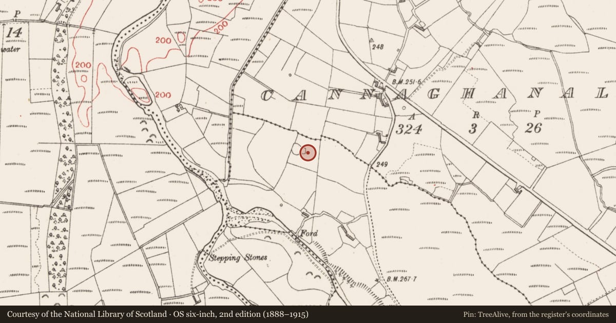 Ordnance Survey six-inch map, 2nd edition (1888–1915) covering the location of Building, Buncrowey, County Sligo, with a pin at the register's coordinates
