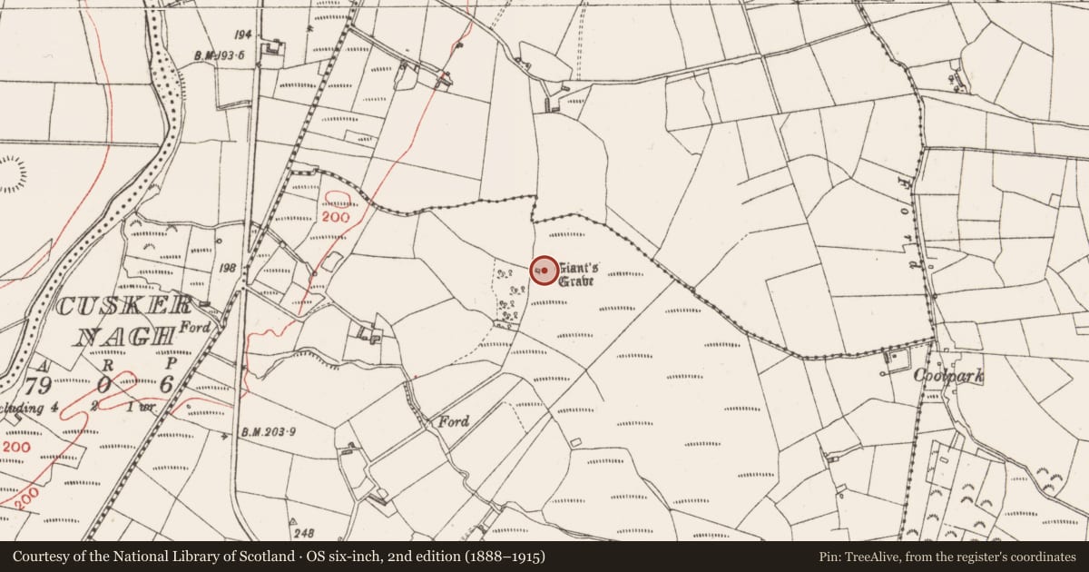 Ordnance Survey six-inch map, 2nd edition (1888–1915) covering the location of Megalithic tomb - wedge tomb, Cannaghanally, County Sligo, with a pin at the register's coordinates