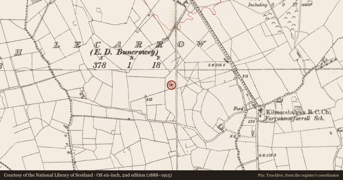 Ordnance Survey six-inch map, 2nd edition (1888–1915) covering the location of Hut site, Lecarrow, County Sligo, with a pin at the register's coordinates
