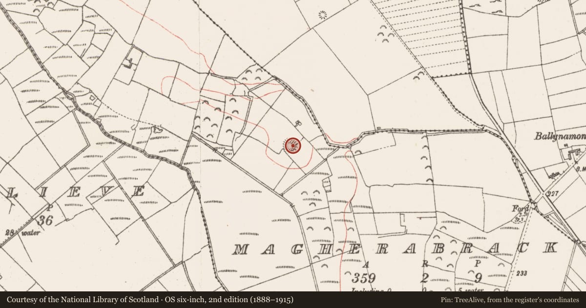 Ordnance Survey six-inch map, 2nd edition (1888–1915) covering the location of Souterrain, Magherabrack, County Sligo, with a pin at the register's coordinates