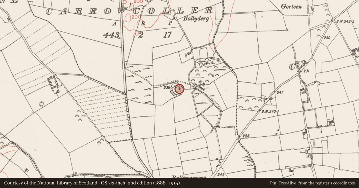 Ordnance Survey six-inch map, 2nd edition (1888–1915) covering the location of Ringfort - rath, Carrowcoller, County Sligo, with a pin at the register's coordinates