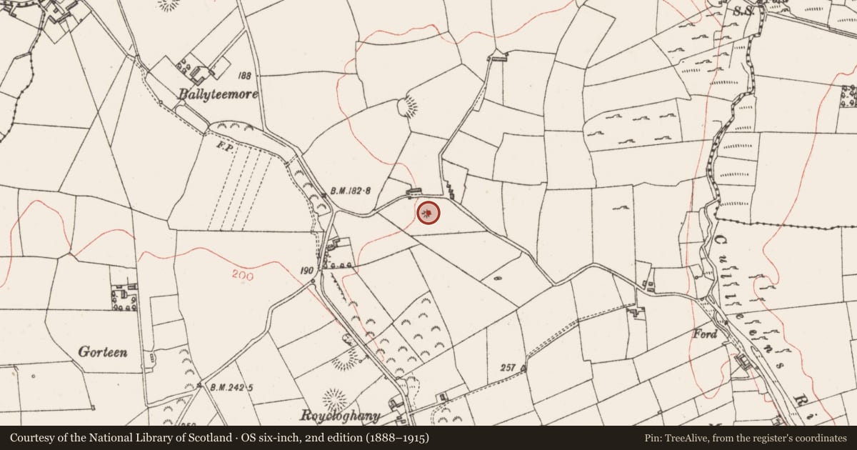 Ordnance Survey six-inch map, 2nd edition (1888–1915) covering the location of Barrow - unclassified, Culleens, County Sligo, with a pin at the register's coordinates