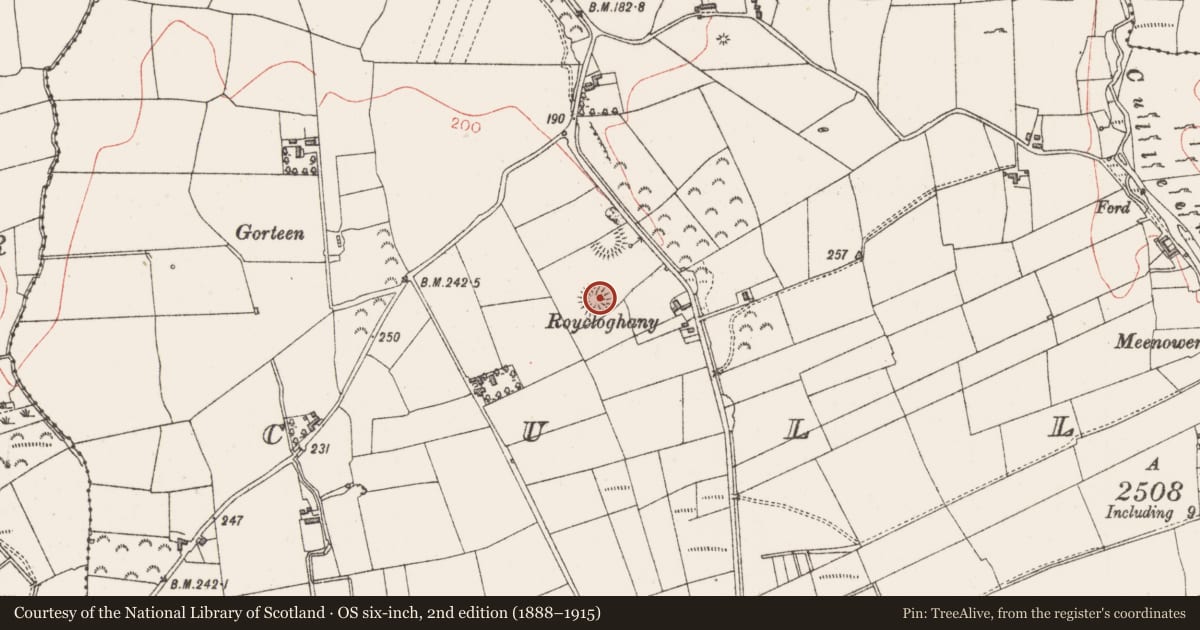 Ordnance Survey six-inch map, 2nd edition (1888–1915) covering the location of Ringfort - rath, Culleens, County Sligo, with a pin at the register's coordinates