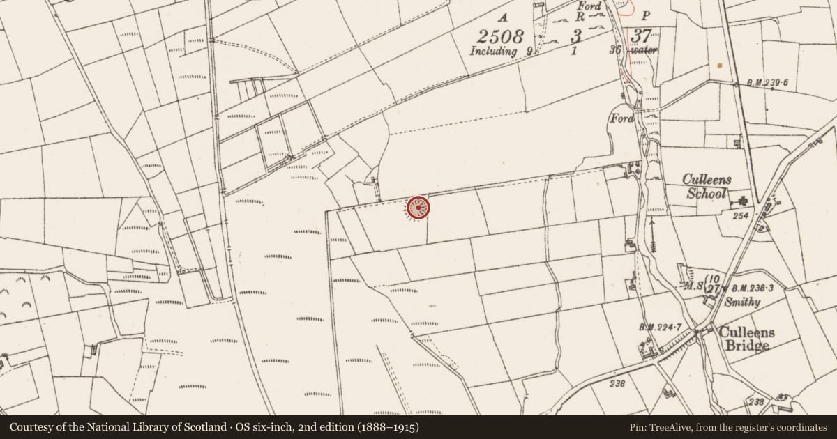 Ordnance Survey six-inch map, 2nd edition (1888–1915) covering the location of Ringfort - rath, Culleens, County Sligo, with a pin at the register's coordinates