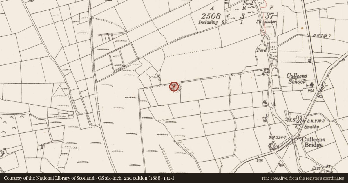 Ordnance Survey six-inch map, 2nd edition (1888–1915) covering the location of House - indeterminate date, Culleens, County Sligo, with a pin at the register's coordinates