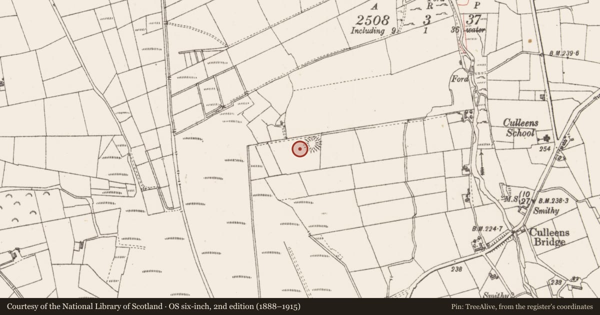 Ordnance Survey six-inch map, 2nd edition (1888–1915) covering the location of Enclosure, Culleens, County Sligo, with a pin at the register's coordinates