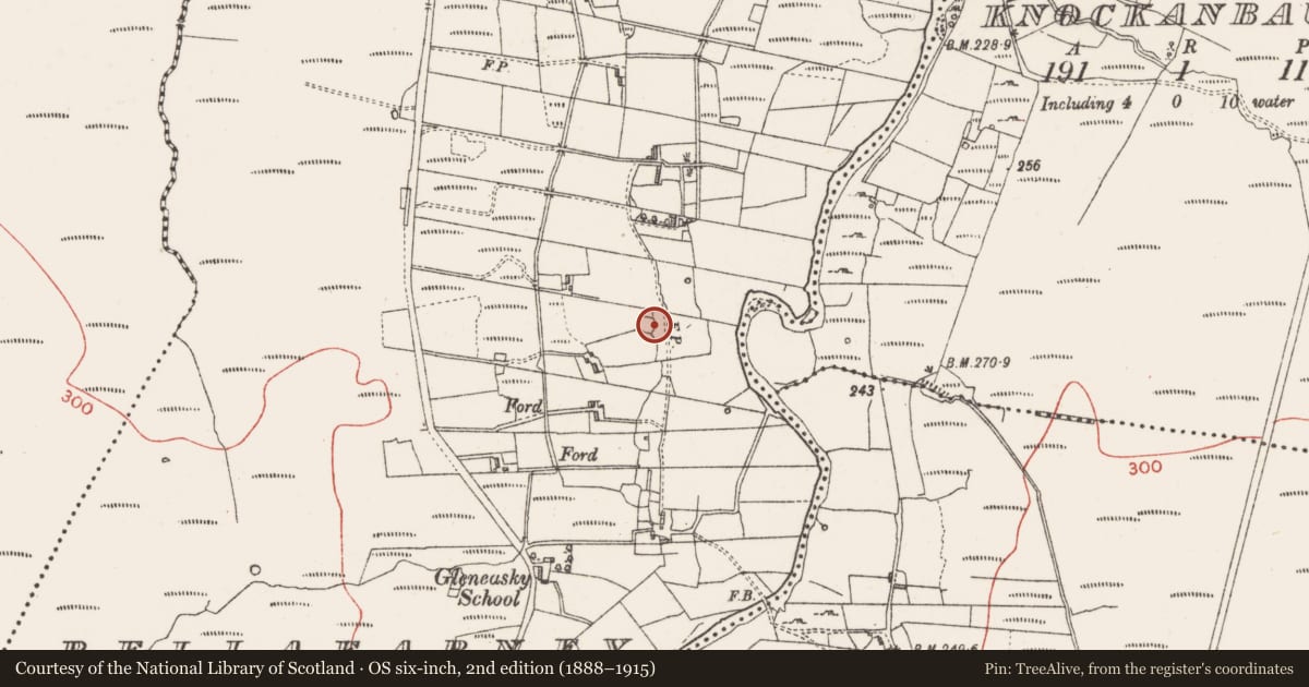 Ordnance Survey six-inch map, 2nd edition (1888–1915) covering the location of Ringfort - cashel, Bellafarney, County Sligo, with a pin at the register's coordinates