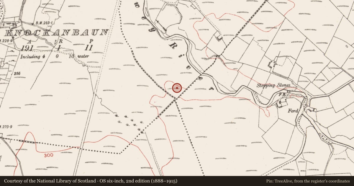 Ordnance Survey six-inch map, 2nd edition (1888–1915) covering the location of Habitation site, Buncrowey, County Sligo, with a pin at the register's coordinates