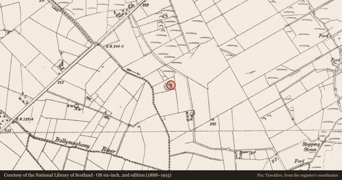 Ordnance Survey six-inch map, 2nd edition (1888–1915) covering the location of Ringfort - rath, Tullylin Or Ballyfeenaun, County Sligo, with a pin at the register's coordinates