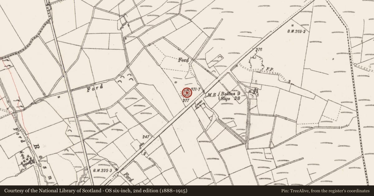 Ordnance Survey six-inch map, 2nd edition (1888–1915) covering the location of Ringfort - rath, Tullylin Or Ballyfeenaun, County Sligo, with a pin at the register's coordinates