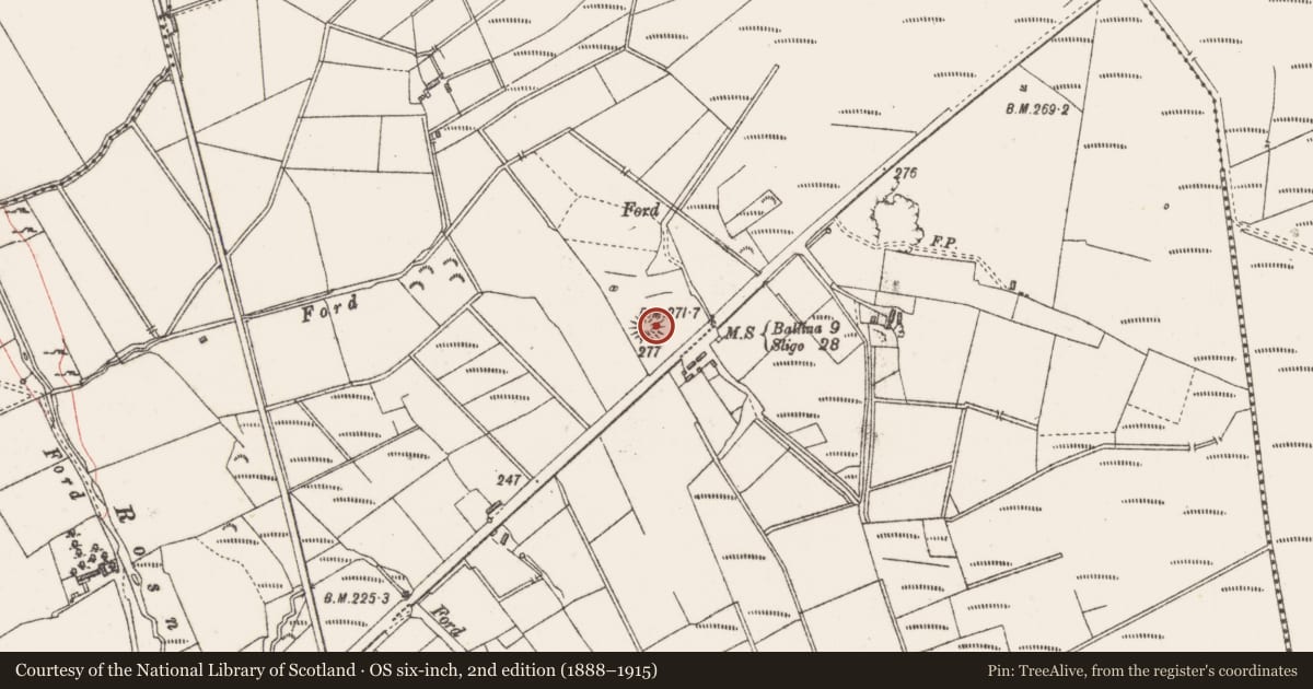 Ordnance Survey six-inch map, 2nd edition (1888–1915) covering the location of Hut site, Tullylin Or Ballyfeenaun, County Sligo, with a pin at the register's coordinates