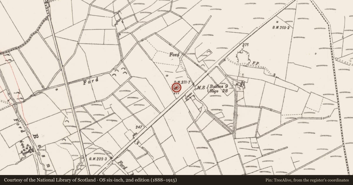 Ordnance Survey six-inch map, 2nd edition (1888–1915) covering the location of Souterrain, Tullylin Or Ballyfeenaun, County Sligo, with a pin at the register's coordinates