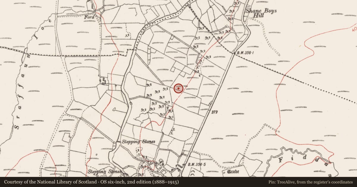 Ordnance Survey six-inch map, 2nd edition (1888–1915) covering the location of Megalithic tomb - court tomb, Tawnatruffaun, County Sligo, with a pin at the register's coordinates