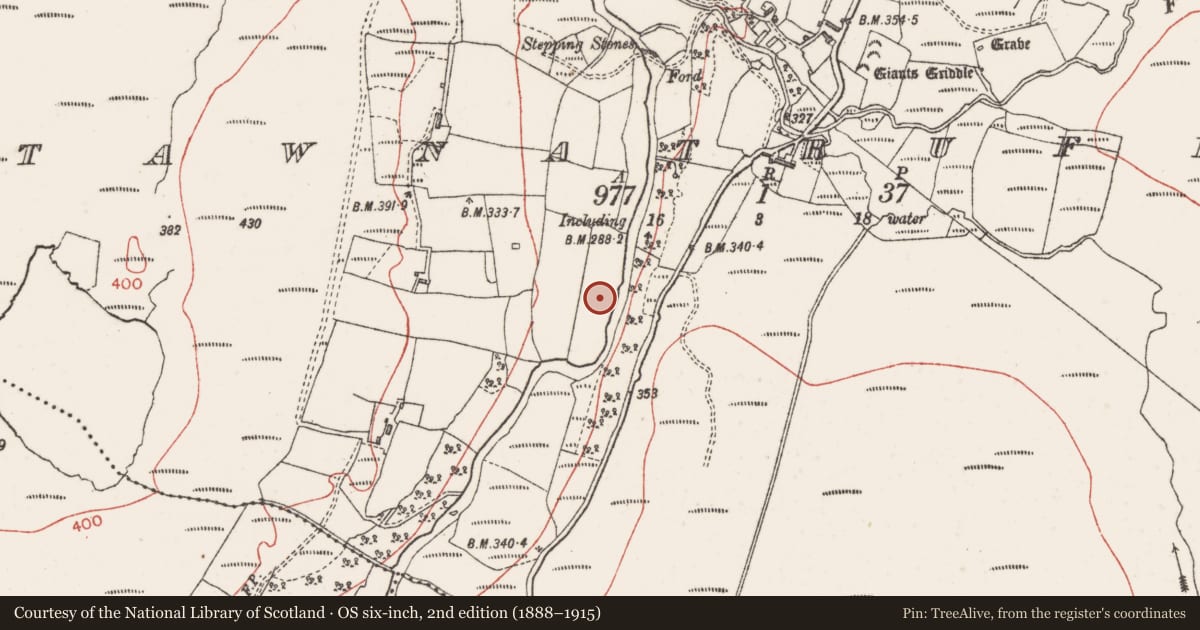 Ordnance Survey six-inch map, 2nd edition (1888–1915) covering the location of Megalithic tomb - court tomb, Tawnatruffaun, County Sligo, with a pin at the register's coordinates