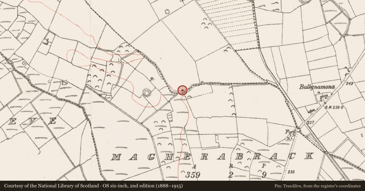 Ordnance Survey six-inch map, 2nd edition (1888–1915) covering the location of Fulacht fia, Ballinteane, County Sligo, with a pin at the register's coordinates