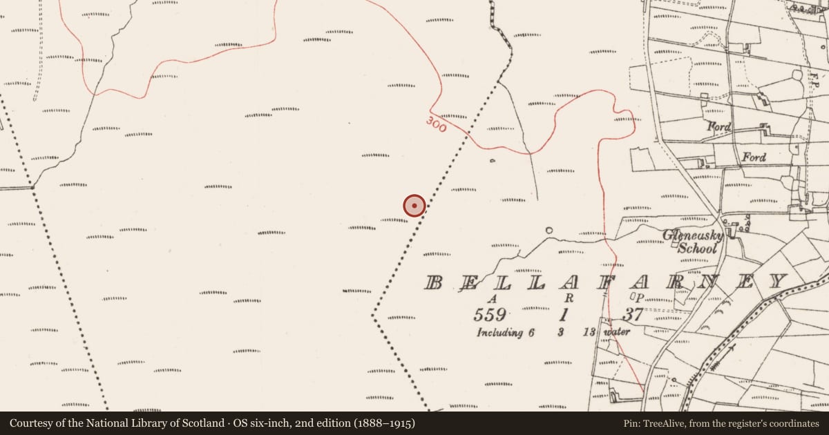 Ordnance Survey six-inch map, 2nd edition (1888–1915) covering the location of Field boundary, Owenbeg, County Sligo, with a pin at the register's coordinates