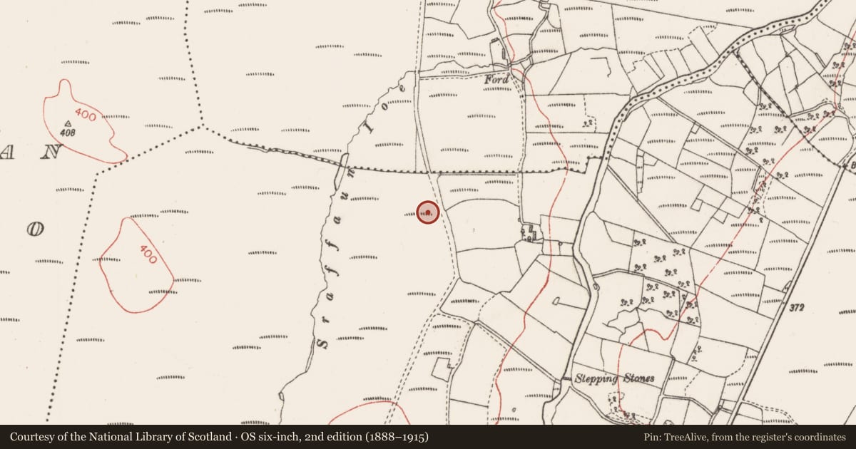 Ordnance Survey six-inch map, 2nd edition (1888–1915) covering the location of Field boundary, Tawnatruffaun, County Sligo, with a pin at the register's coordinates