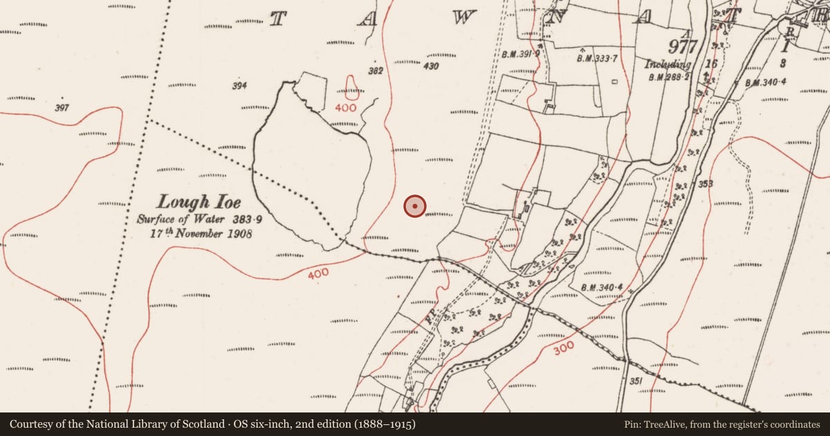 Ordnance Survey six-inch map, 2nd edition (1888–1915) covering the location of Field system, Tawnatruffaun, County Sligo, with a pin at the register's coordinates