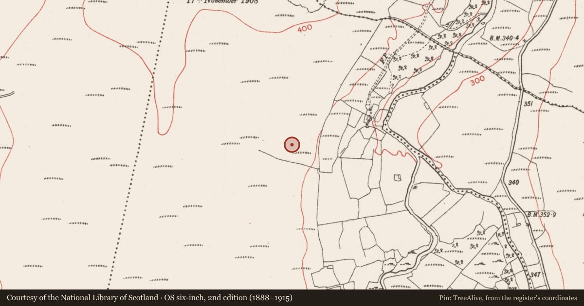 Ordnance Survey six-inch map, 2nd edition (1888–1915) covering the location of Field system, Tawnamore, County Sligo, with a pin at the register's coordinates