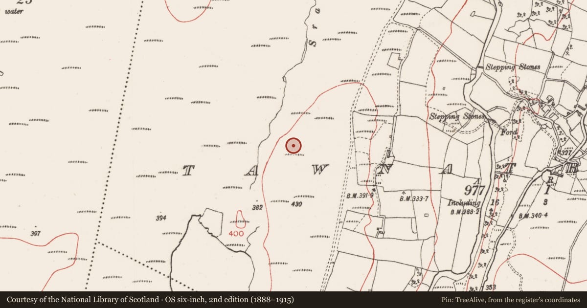 Ordnance Survey six-inch map, 2nd edition (1888–1915) covering the location of Field boundary, Tawnatruffaun, County Sligo, with a pin at the register's coordinates
