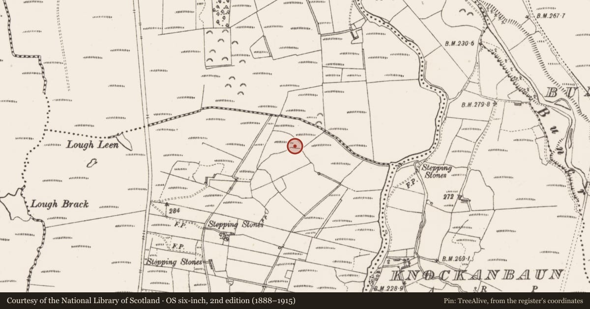 Ordnance Survey six-inch map, 2nd edition (1888–1915) covering the location of Structure, Bellafarney, County Sligo, with a pin at the register's coordinates