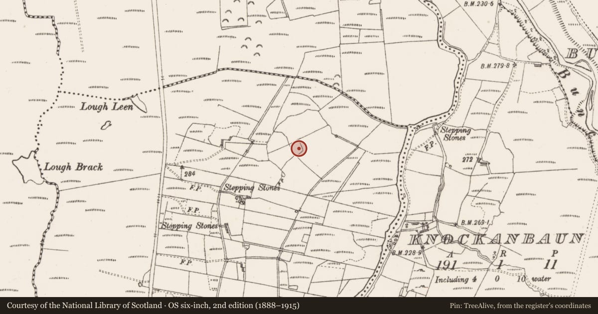 Ordnance Survey six-inch map, 2nd edition (1888–1915) covering the location of Enclosure, Bellafarney, County Sligo, with a pin at the register's coordinates