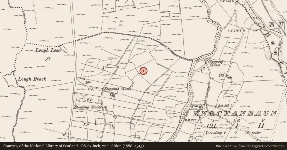 Ordnance Survey six-inch map, 2nd edition (1888–1915) covering the location of Cairn - unclassified, Bellafarney, County Sligo, with a pin at the register's coordinates