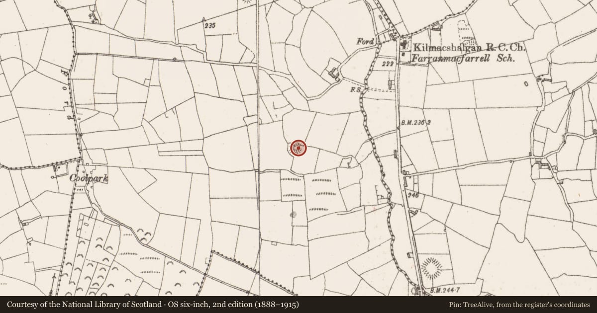 Ordnance Survey six-inch map, 2nd edition (1888–1915) covering the location of Enclosure, Lecarrow, County Sligo, with a pin at the register's coordinates
