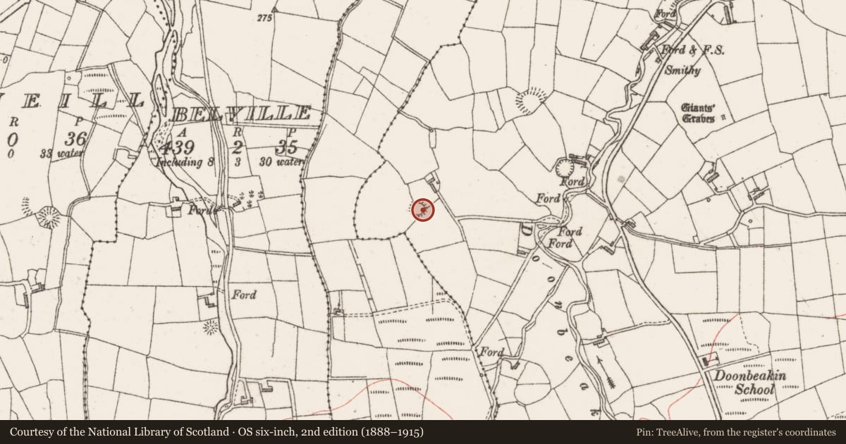 Ordnance Survey six-inch map, 2nd edition (1888–1915) covering the location of Ringfort - rath, Doonbeakin, County Sligo, with a pin at the register's coordinates