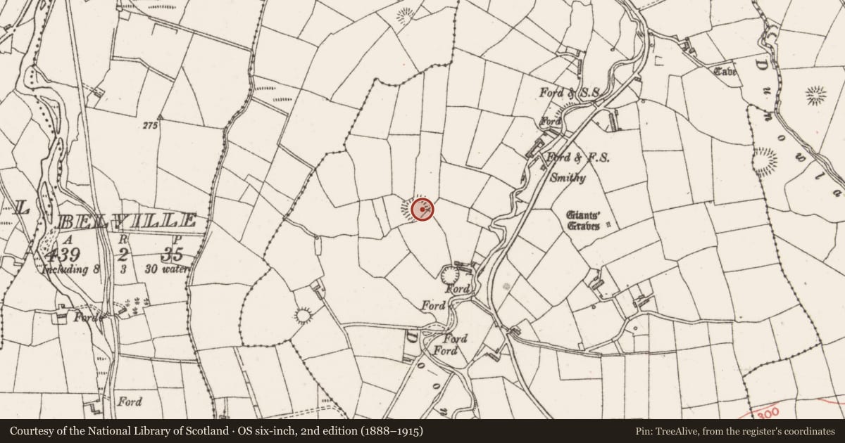 Ordnance Survey six-inch map, 2nd edition (1888–1915) covering the location of Ringfort - rath, Doonbeakin, County Sligo, with a pin at the register's coordinates