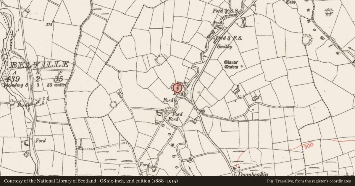 Ordnance Survey six-inch map, 2nd edition (1888–1915) covering the location of Ringfort - rath, Doonbeakin, County Sligo, with a pin at the register's coordinates