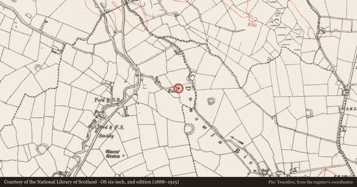 Ordnance Survey six-inch map, 2nd edition (1888–1915) covering the location of Souterrain, Doonbeakin, County Sligo, with a pin at the register's coordinates