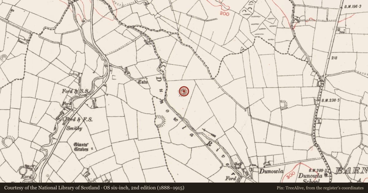 Ordnance Survey six-inch map, 2nd edition (1888–1915) covering the location of Ringfort - rath, Dunowla, County Sligo, with a pin at the register's coordinates