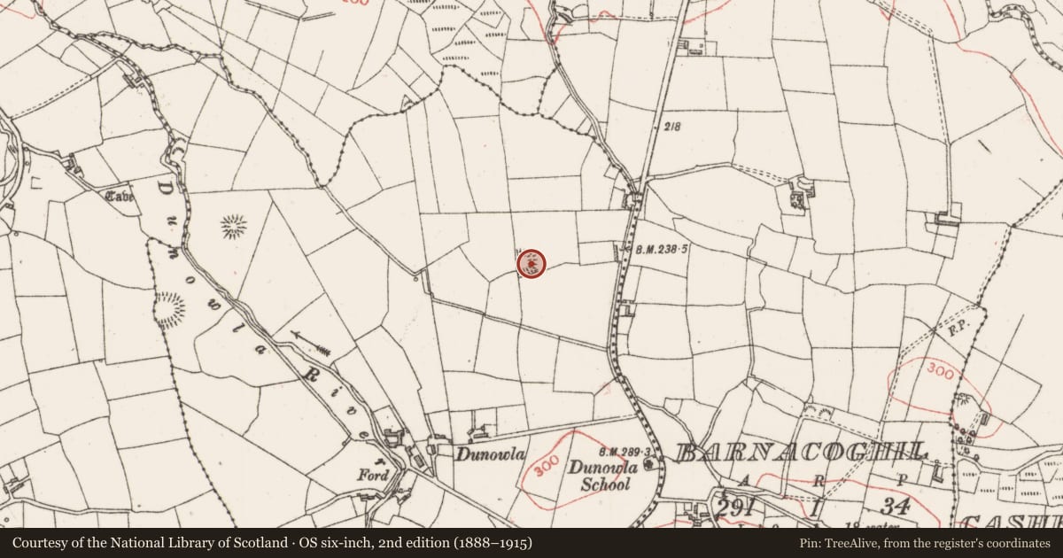 Ordnance Survey six-inch map, 2nd edition (1888–1915) covering the location of Ringfort - rath, Dunowla, County Sligo, with a pin at the register's coordinates