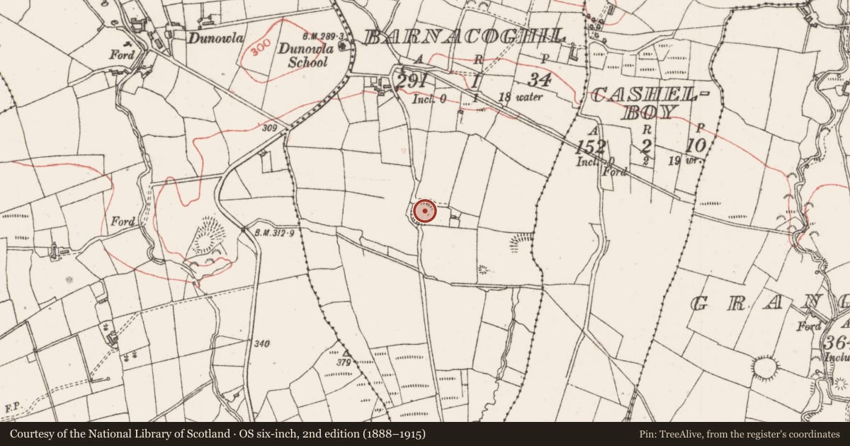 Ordnance Survey six-inch map, 2nd edition (1888–1915) covering the location of Souterrain, Barnacoghil, County Sligo, with a pin at the register's coordinates