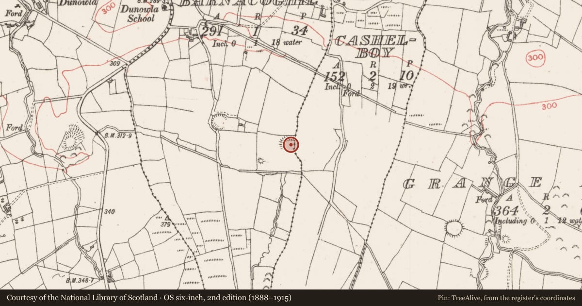 Ordnance Survey six-inch map, 2nd edition (1888–1915) covering the location of Enclosure, Barnacoghil, County Sligo, with a pin at the register's coordinates