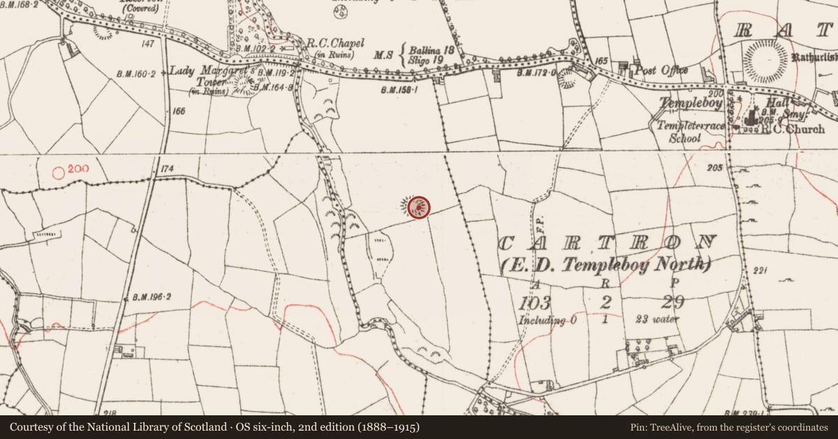Ordnance Survey six-inch map, 2nd edition (1888–1915) covering the location of Ringfort - rath, Cashelboy, County Sligo, with a pin at the register's coordinates