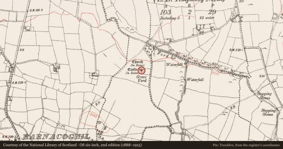 Ordnance Survey six-inch map, 2nd edition (1888–1915) covering the location of Castle - tower house, Cashelboy, County Sligo, with a pin at the register's coordinates