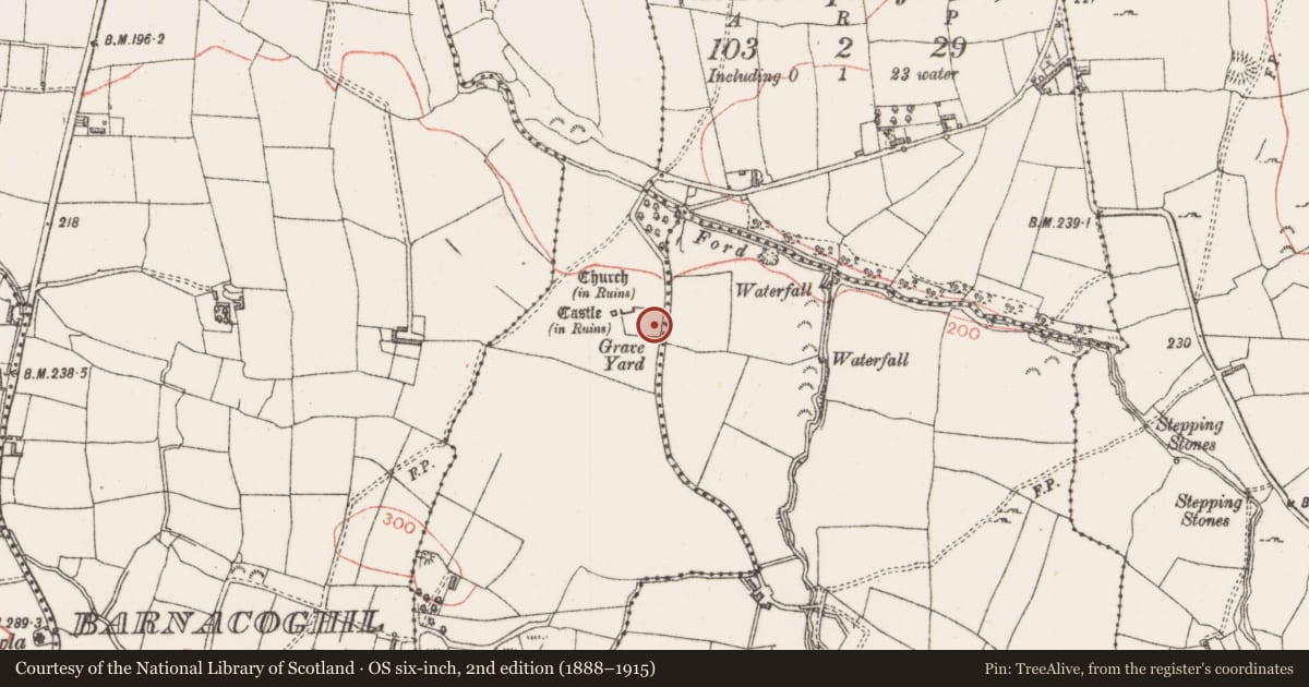 Ordnance Survey six-inch map, 2nd edition (1888–1915) covering the location of Graveyard, Cashelboy, County Sligo, with a pin at the register's coordinates