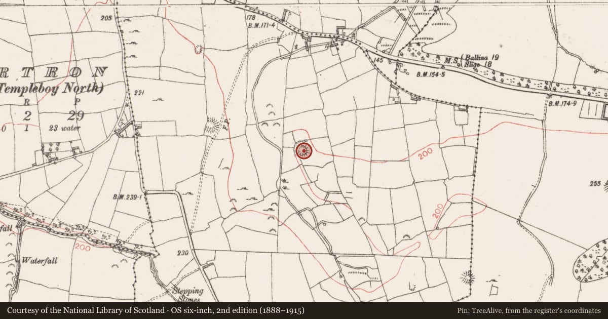 Ordnance Survey six-inch map, 2nd edition (1888–1915) covering the location of Ringfort - rath, Lugdoon, County Sligo, with a pin at the register's coordinates