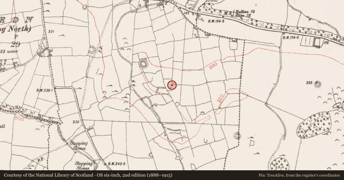 Ordnance Survey six-inch map, 2nd edition (1888–1915) covering the location of Enclosure, Lugdoon, County Sligo, with a pin at the register's coordinates