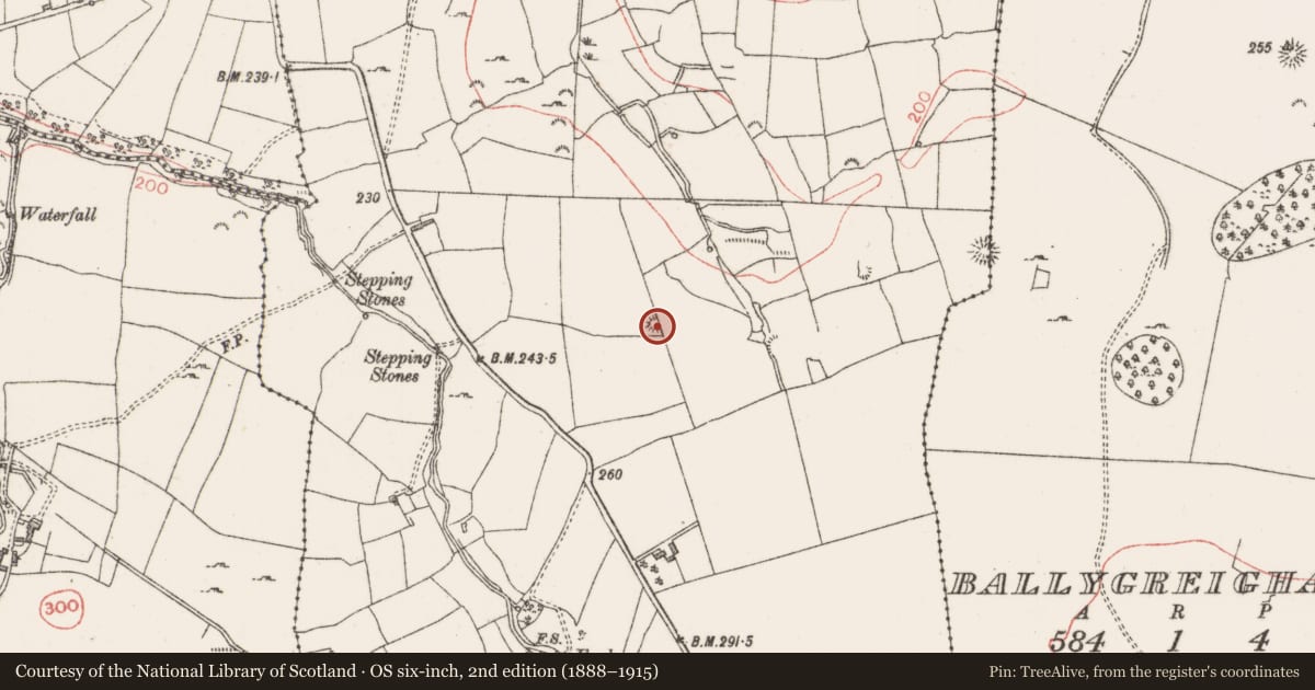 Ordnance Survey six-inch map, 2nd edition (1888–1915) covering the location of Barrow - ring-barrow, Lugdoon, County Sligo, with a pin at the register's coordinates