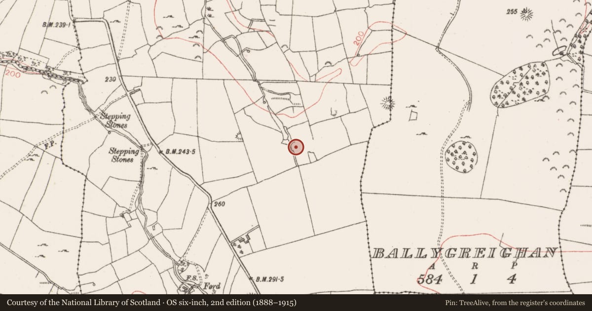 Ordnance Survey six-inch map, 2nd edition (1888–1915) covering the location of Enclosure, Lugdoon, County Sligo, with a pin at the register's coordinates