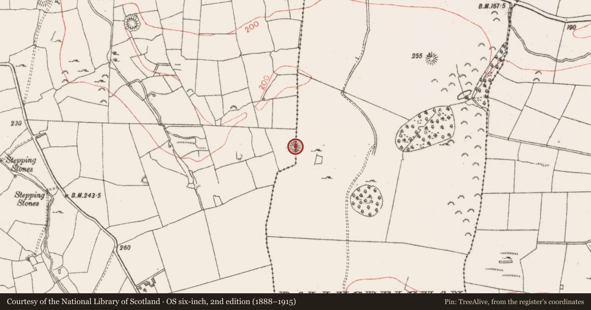 Ordnance Survey six-inch map, 2nd edition (1888–1915) covering the location of Ringfort - rath, Ballygreighan, Lugdoon, County Sligo, with a pin at the register's coordinates