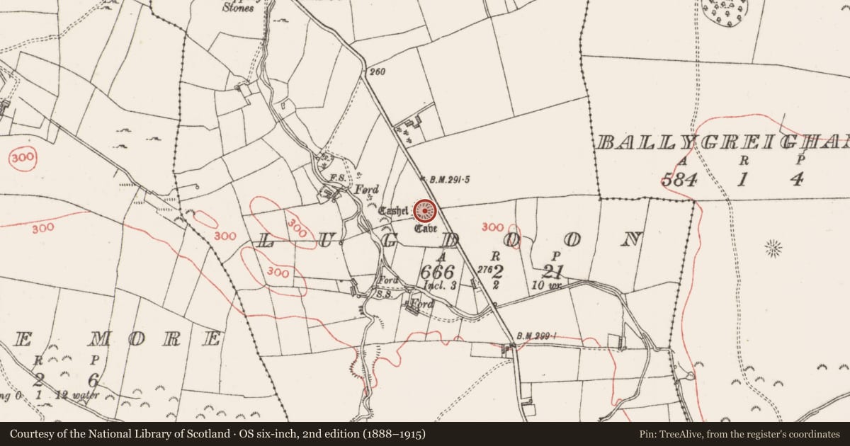 Ordnance Survey six-inch map, 2nd edition (1888–1915) covering the location of Ringfort - cashel, Lugdoon, County Sligo, with a pin at the register's coordinates