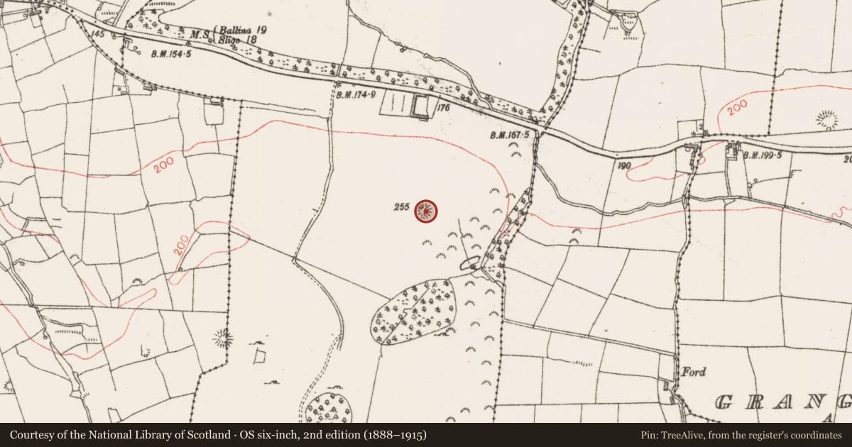 Ordnance Survey six-inch map, 2nd edition (1888–1915) covering the location of Ringfort - rath, Ballygreighan, County Sligo, with a pin at the register's coordinates
