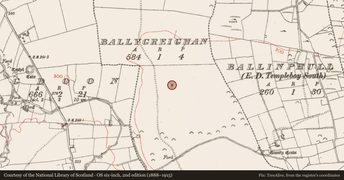 Ordnance Survey six-inch map, 2nd edition (1888–1915) covering the location of Souterrain, Ballygreighan, County Sligo, with a pin at the register's coordinates