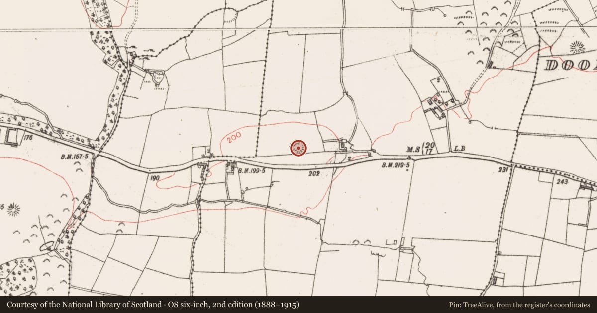 Ordnance Survey six-inch map, 2nd edition (1888–1915) covering the location of Ringfort - rath, Grange Beg, County Sligo, with a pin at the register's coordinates